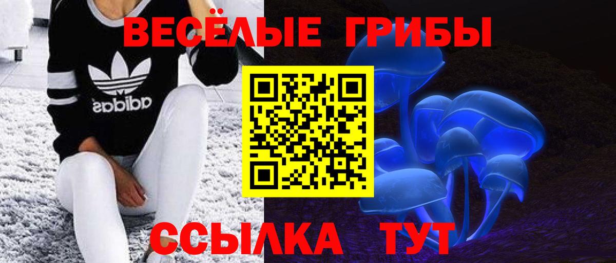 Галлюциногенные грибы Psilocybe Нягань